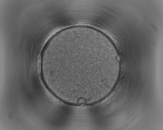 X0000111461126200907271246