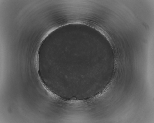 X0000111461127200907271246