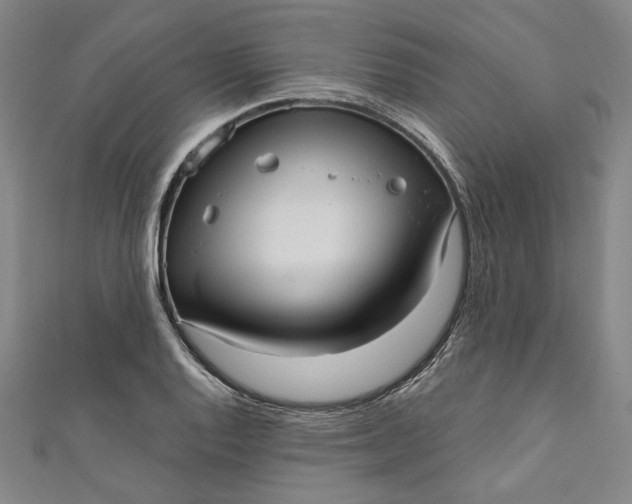 X0000111461128200907271246