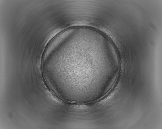 X0000111461129200907271246