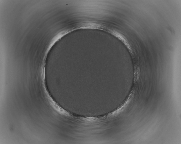 X0000111461130200907271246