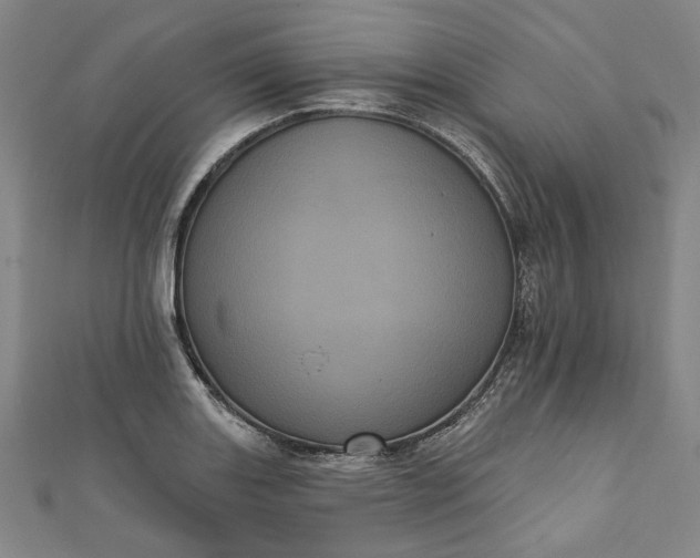 X0000111461131200907271246