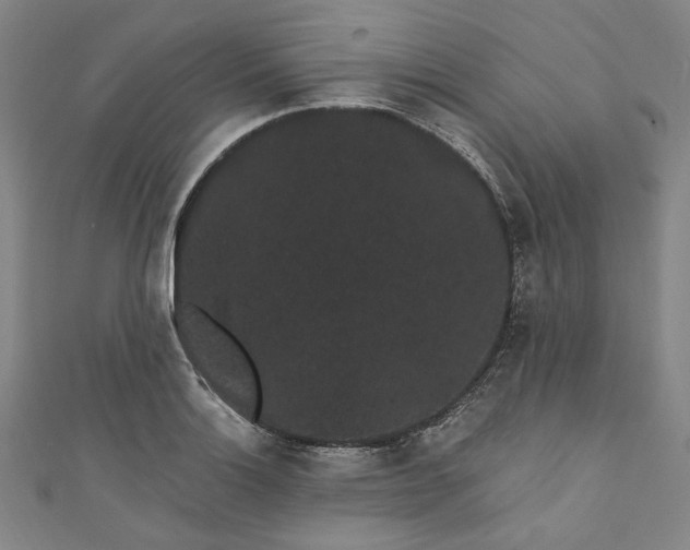 X0000111461132200907271246