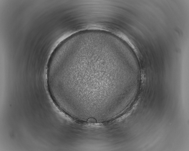 X0000111461133200907271246