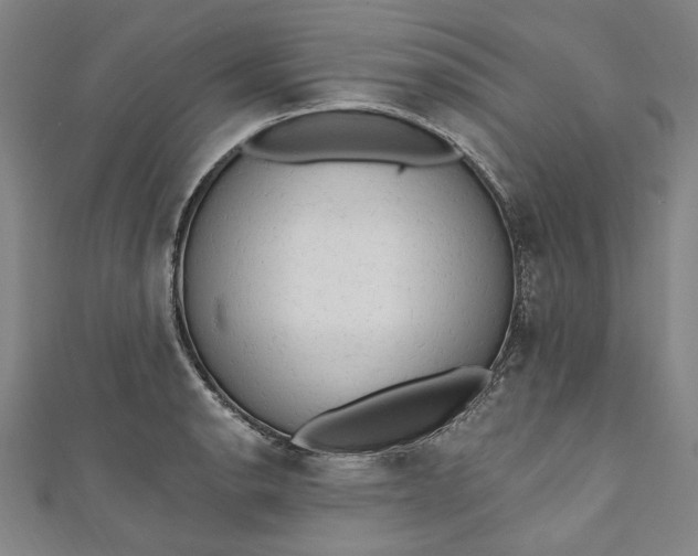 X0000111461134200907271246