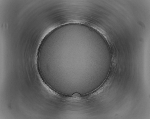 X0000111461135200907271246