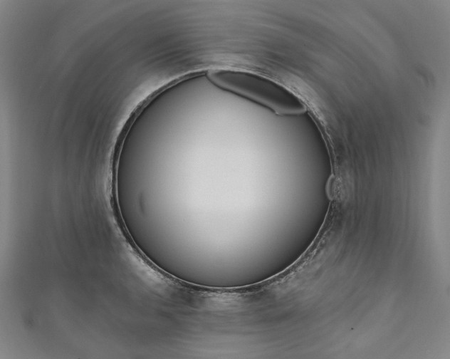 X0000111461136200907271246