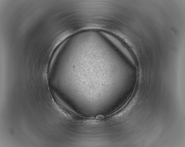 X0000111461137200907271246