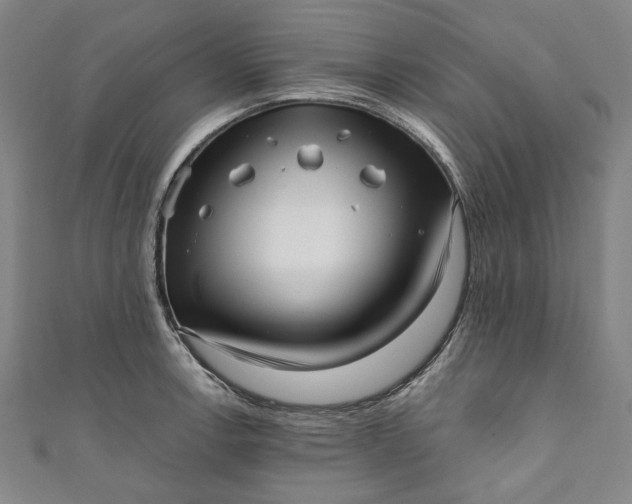 X0000111461138200907271246