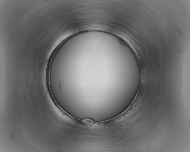 X0000111461139200907271246