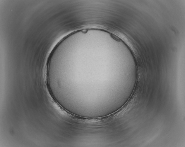 X0000111461140200907271246