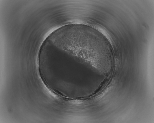 X0000111461141200907271246