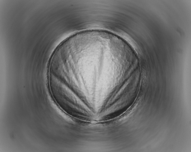 X0000111461142200907271246