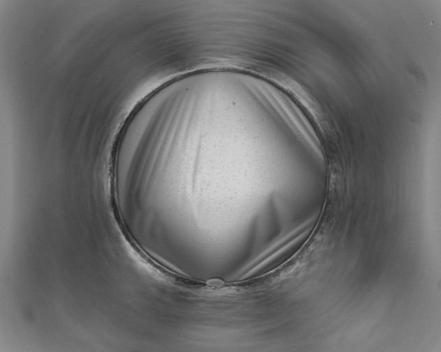 X0000111461143200907271246