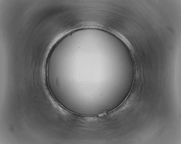 X0000111461144200907271246