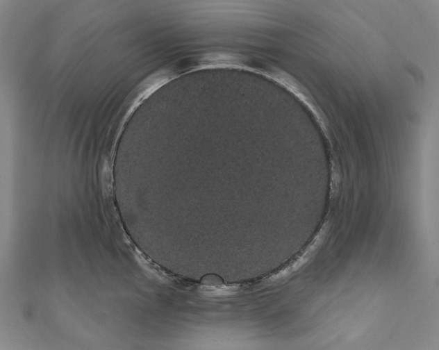 X0000111461145200907271246