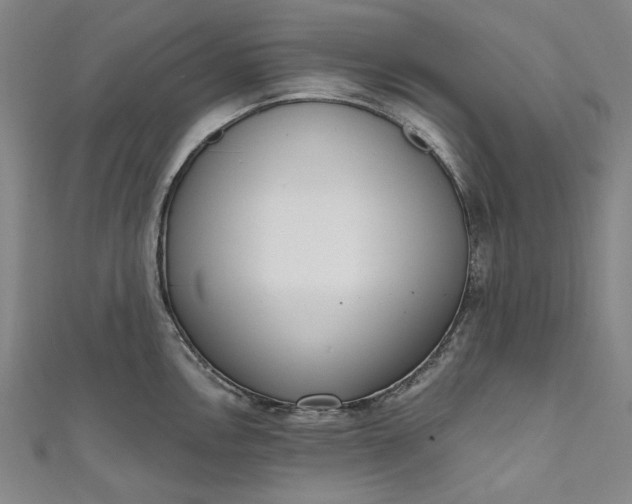 X0000111461146200907271246