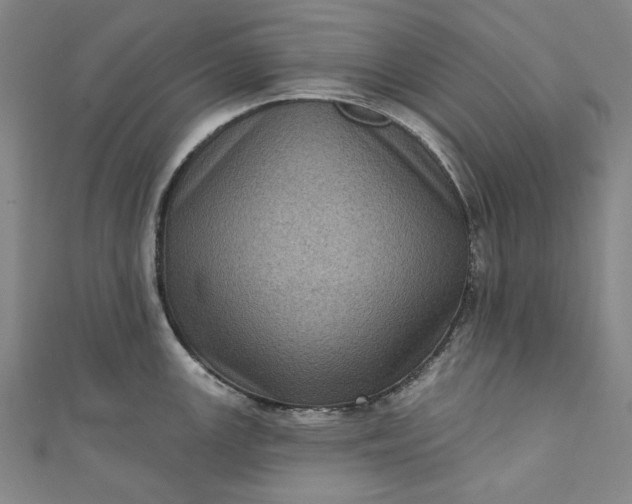 X0000111461147200907271246