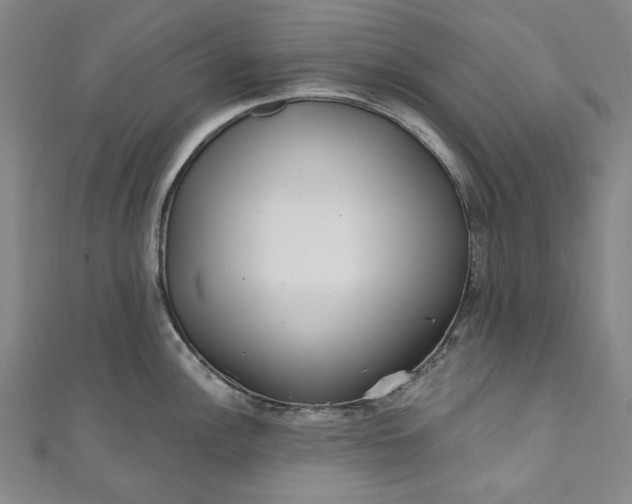 X0000111461148200907271246