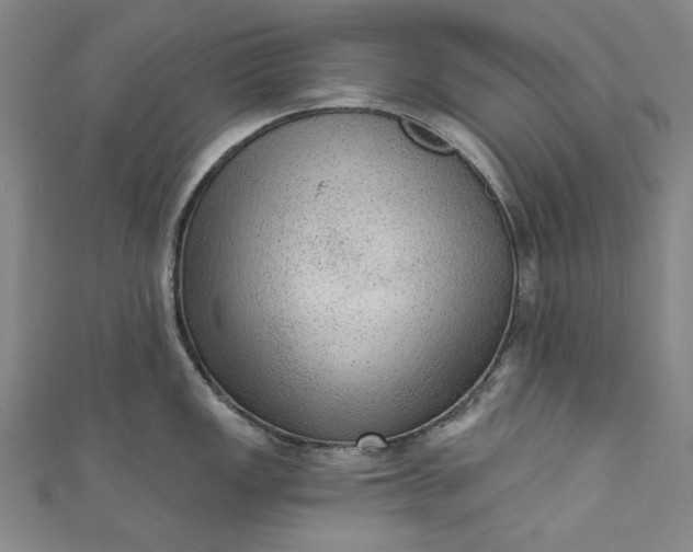 X0000111461149200907271246