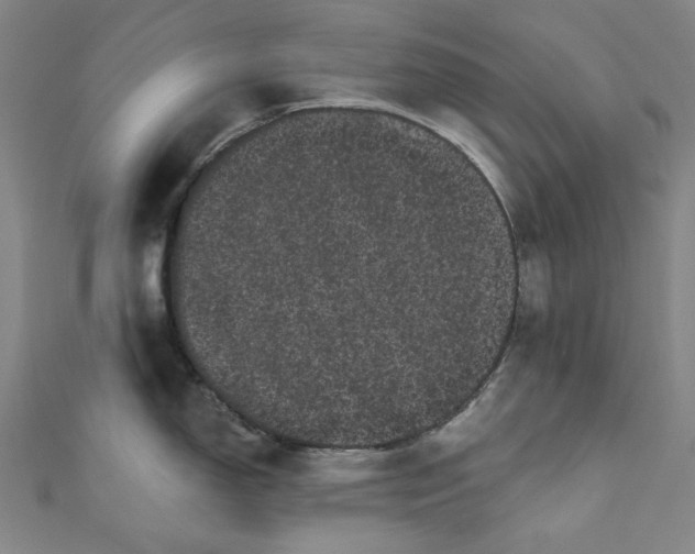 X0000111461150200907271246