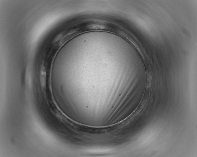 X0000111461151200907271246