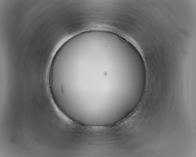 X0000111461152200907271246