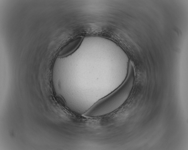 X0000111461153200907271245