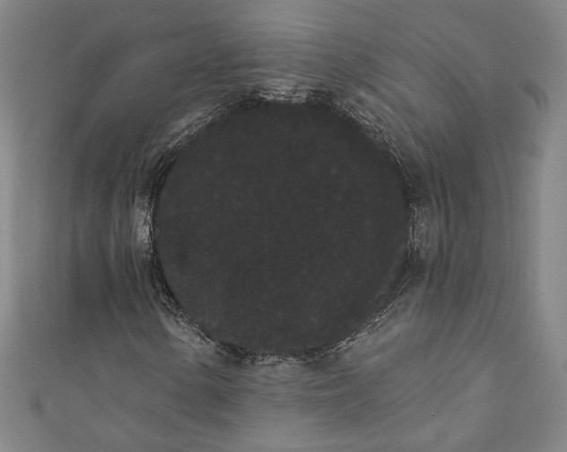 X0000111461154200907271245