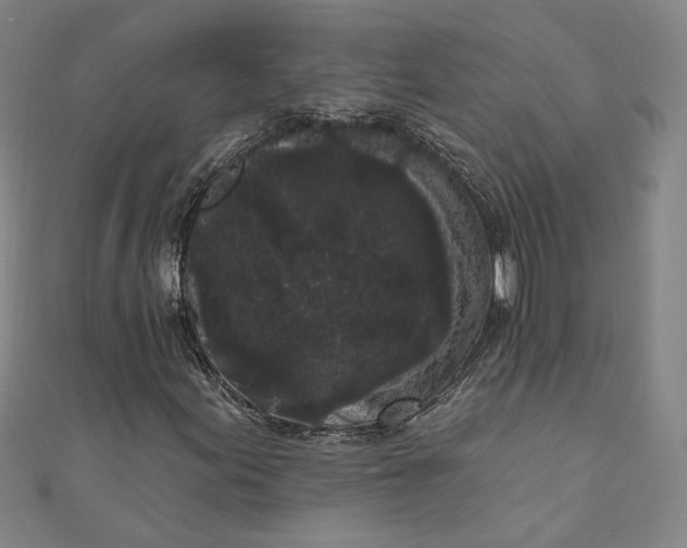 X0000111461155200907271245