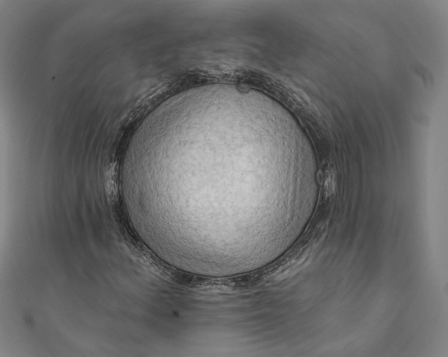 X0000111461156200907271245