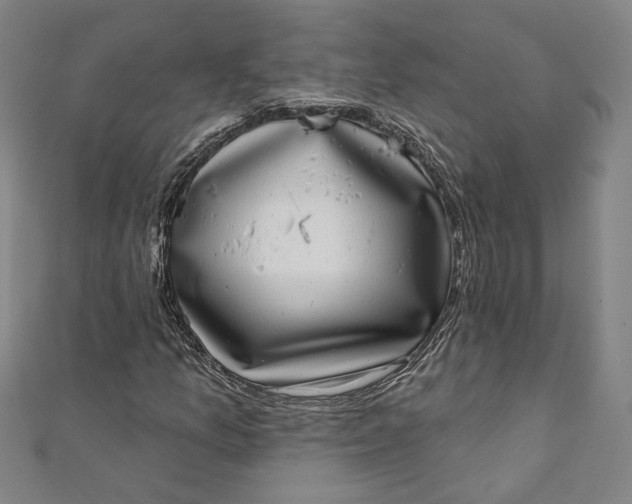 X0000111461157200907271245