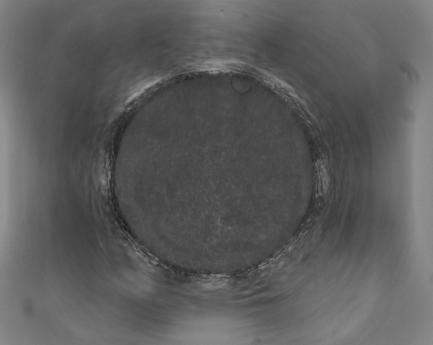 X0000111461158200907271245