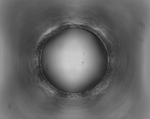 X0000111461159200907271245