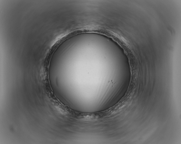 X0000111461160200907271245