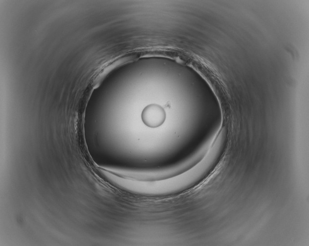 X0000111461161200907271245