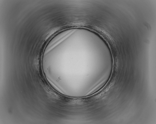 X0000111461162200907271245