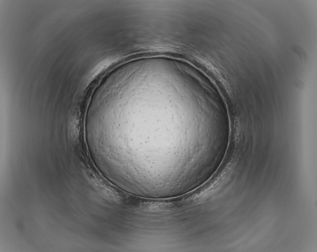 X0000111461163200907271245