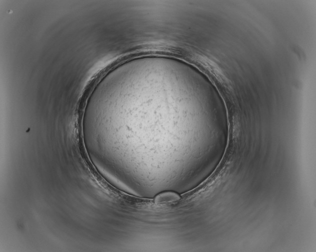 X0000111461164200907271245