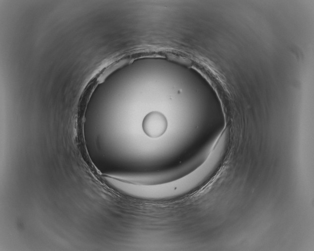 X0000111461165200907271245