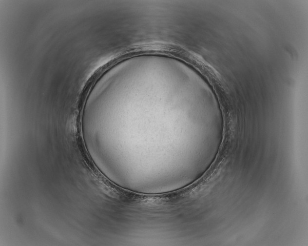 X0000111461166200907271245