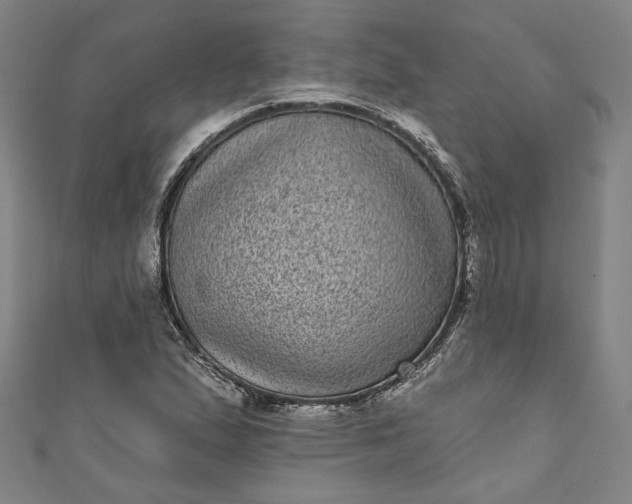 X0000111461167200907271245