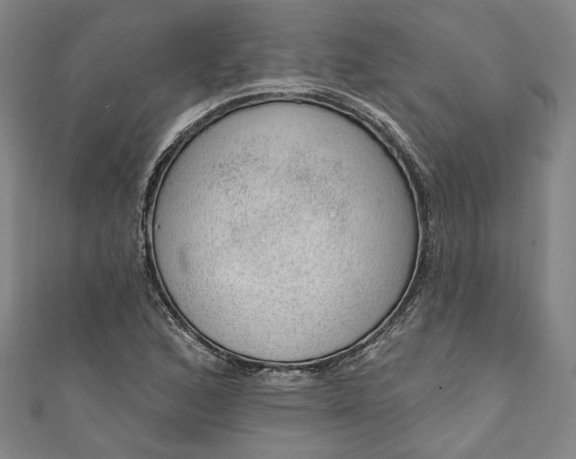 X0000111461168200907271245