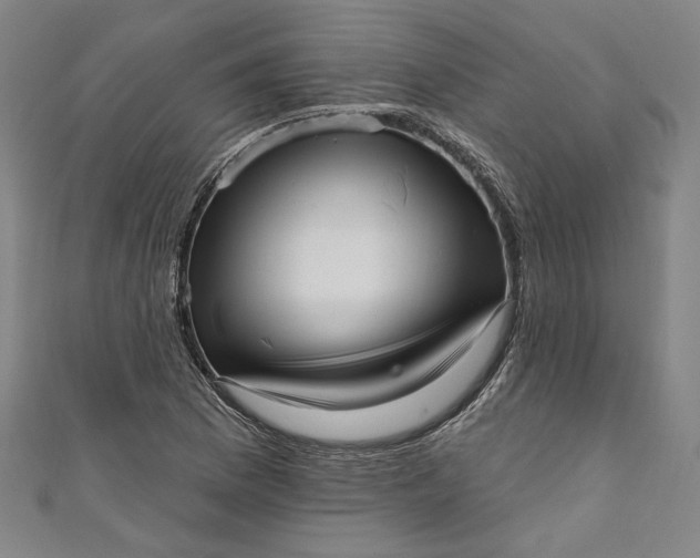 X0000111461169200907271245