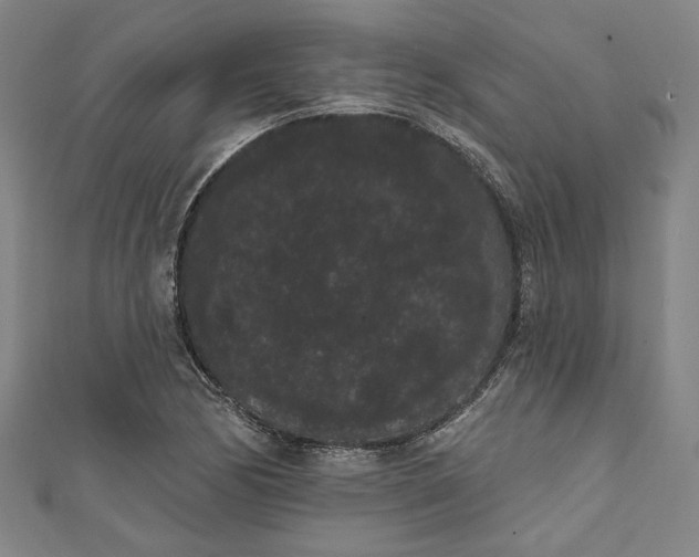 X0000111461170200907271245