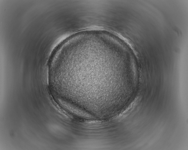 X0000111461171200907271245