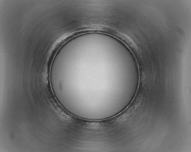 X0000111461172200907271245