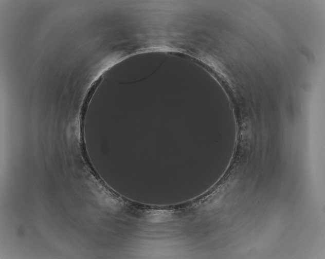 X0000111461173200907271245