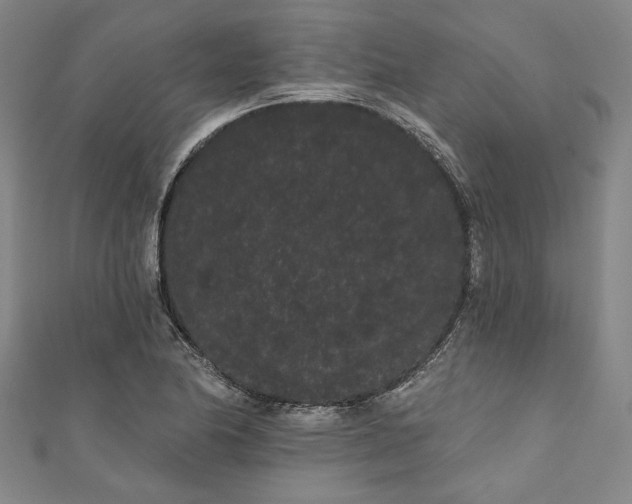 X0000111461174200907271245