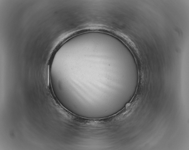 X0000111461175200907271245